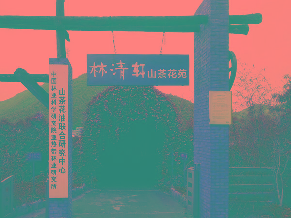 2784609-1-b.jpg
