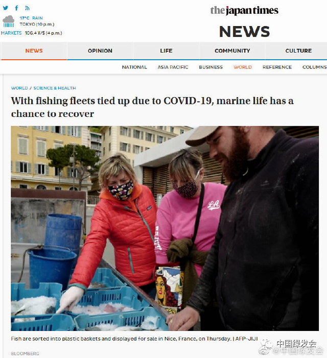 2B66F4981EE48ADF0AF9A3A1F5A873440E68617B_size528_w640_h701.png